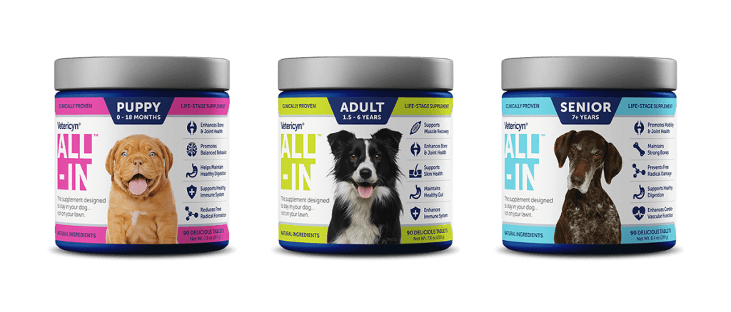Benefits Of Dmg For Dogs